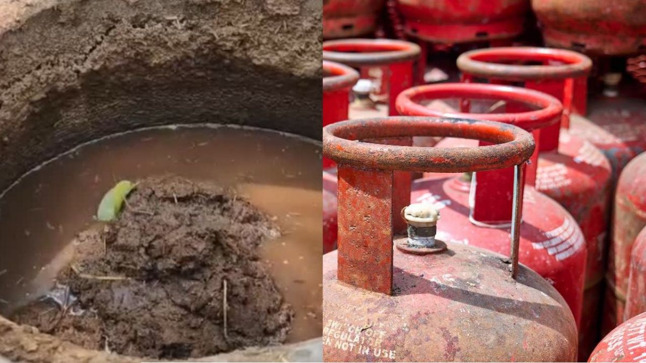  গ্যাস সংকট মেটাতে মাস্টারস্ট্রোক: গোবর থেকে জ্বালানি তৈরিতে ৬০ কোটি বরাদ্দ গুজরাট সরকারের