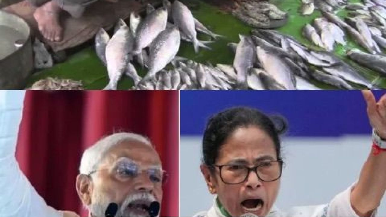 মমতাকে জবাব দিতে এবার মোদীর মুখে 'মৎস্য কথা'!
