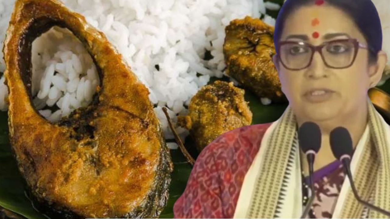 বাঙালিকে ইলিশের কাঁটা বেছে খাইয়ে দেবেন স্মৃতি ইরানি? ভোট-বঙ্গে ফের মৎস্য-রঙ্গ!