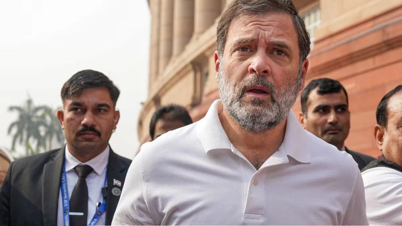 নাগরিকত্ব নিয়ে বিপাকে রাহুল গান্ধী! এলাহাবাদ হাইকোর্টের নির্দেশে শুরু হচ্ছে তদন্ত