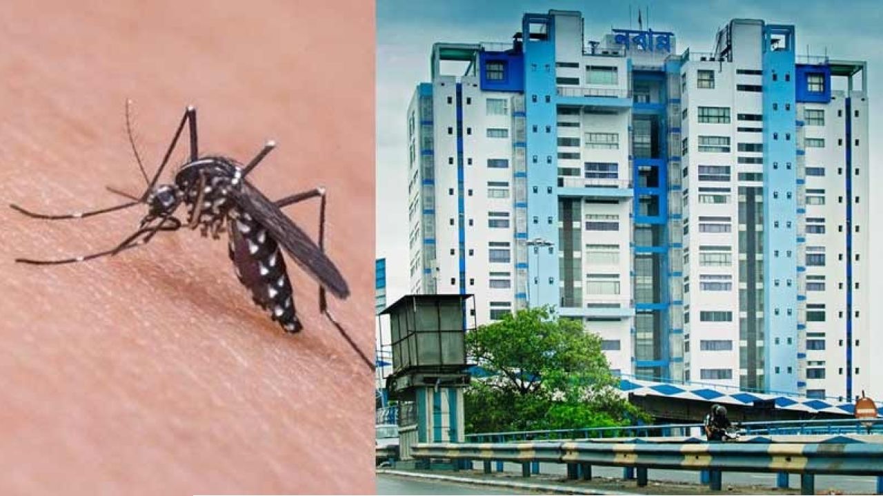 ভোট-আবহেই ডেঙ্গু মোকাবিলায় প্রস্তুতি শুরু রাজ্যের, পূর্ত দফতরকে একগুচ্ছ নির্দেশিকা নবান্নের