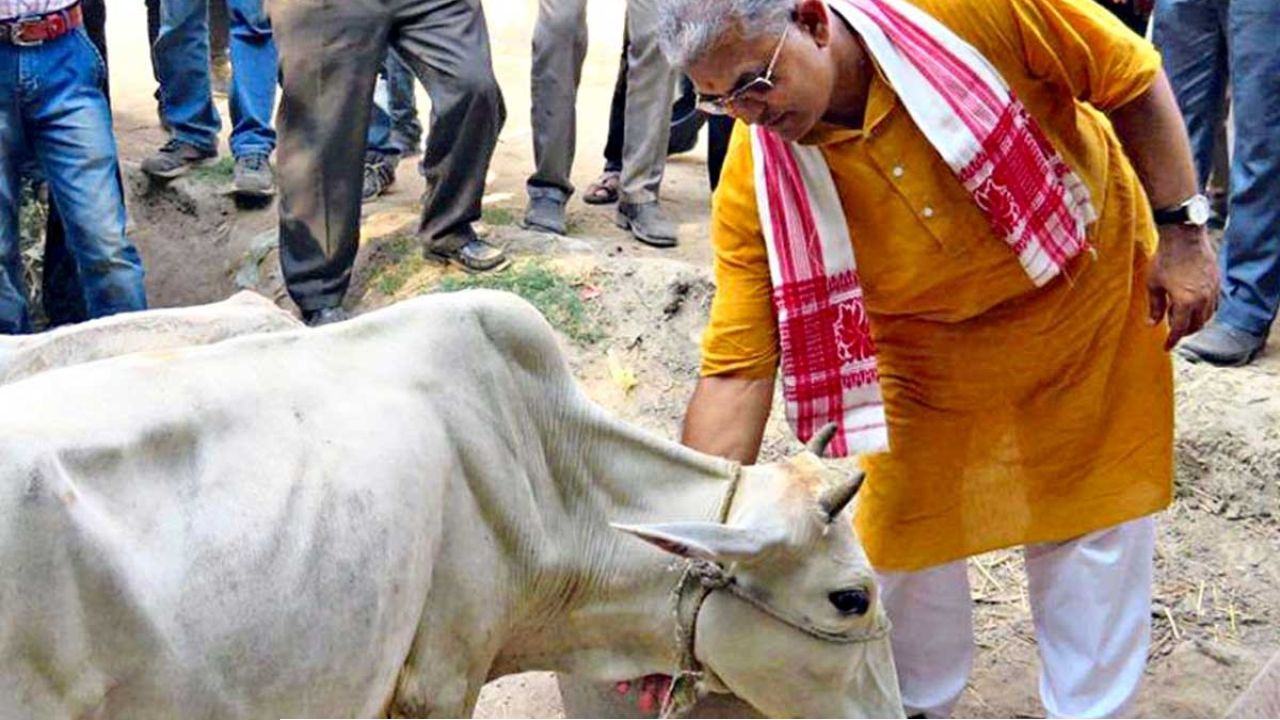 &lsquo;গরুর দুধে সোনা&rsquo;র পর এবার ব্লাড প্রেশার! গোমাতা নিয়ে মন্ত্রী দিলীপের নয়া দাওয়াই