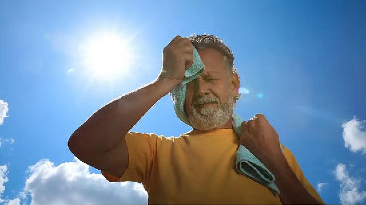 বাইরে বেরোলেই স্ট্রোকের ভয়, অথচ শরীরে কমছে ভিটামিন ডি! রোদ এড়িয়ে কোন জাদুতে মিলবে পুষ্টি?