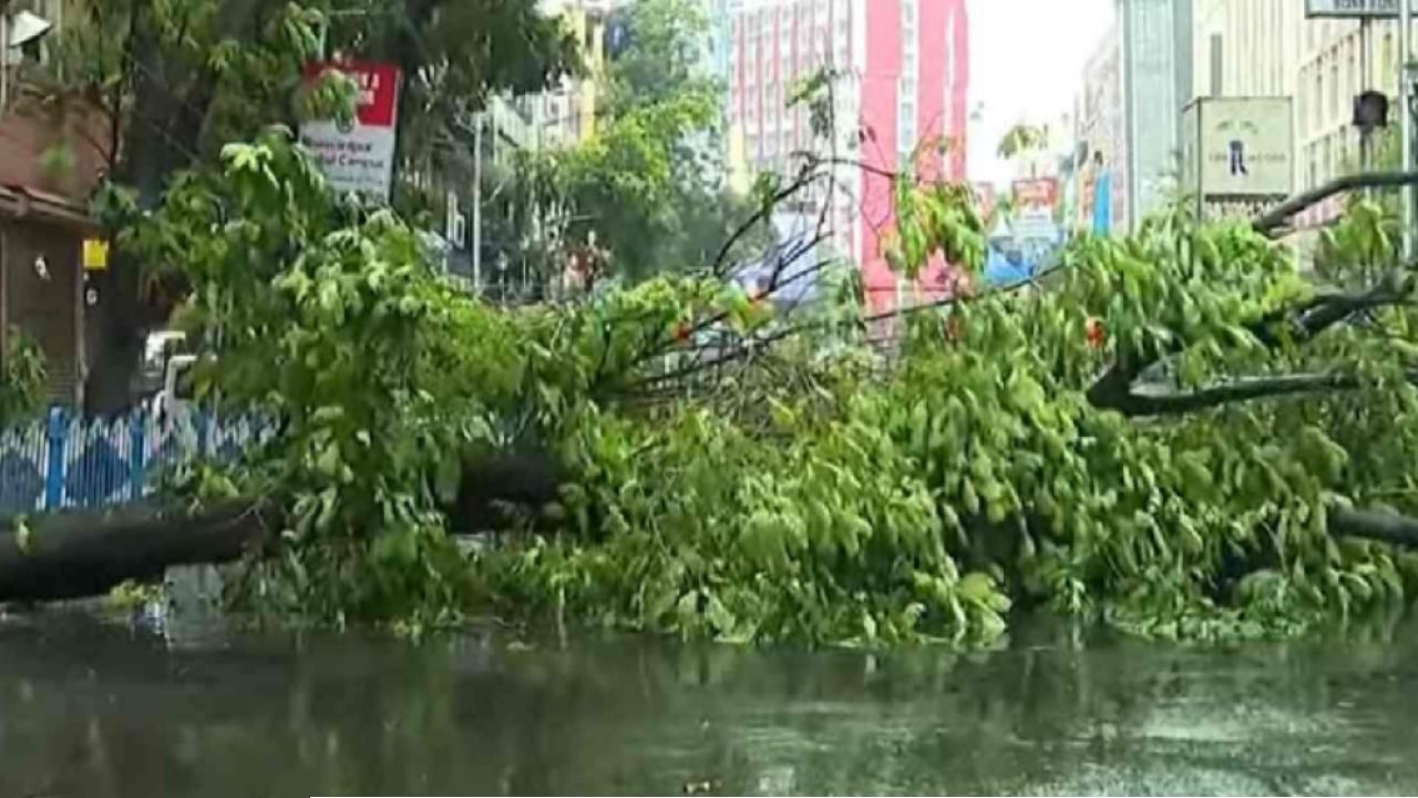 মাত্র ১ ঘণ্টার বৃষ্টিতেই বানভাসি তিলোত্তমা! চাঁদনি চকে ছিঁড়ল বিদ্যুতের তার, নিট পরীক্ষার্থীদের চরম ভোগান্তি