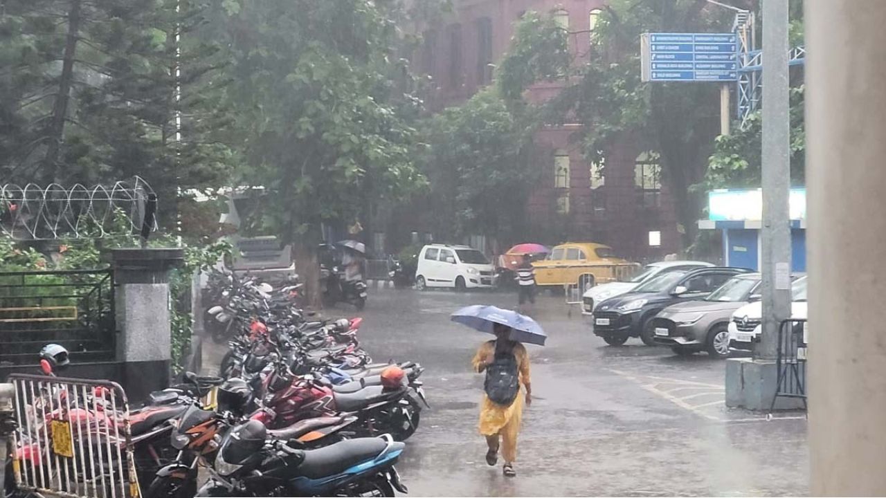 উত্তরে কমবে বৃষ্টি, দক্ষিণে বাড়বে দাপট! সপ্তাহান্তে কলকাতায় ভারী বর্ষণের সতর্কতা