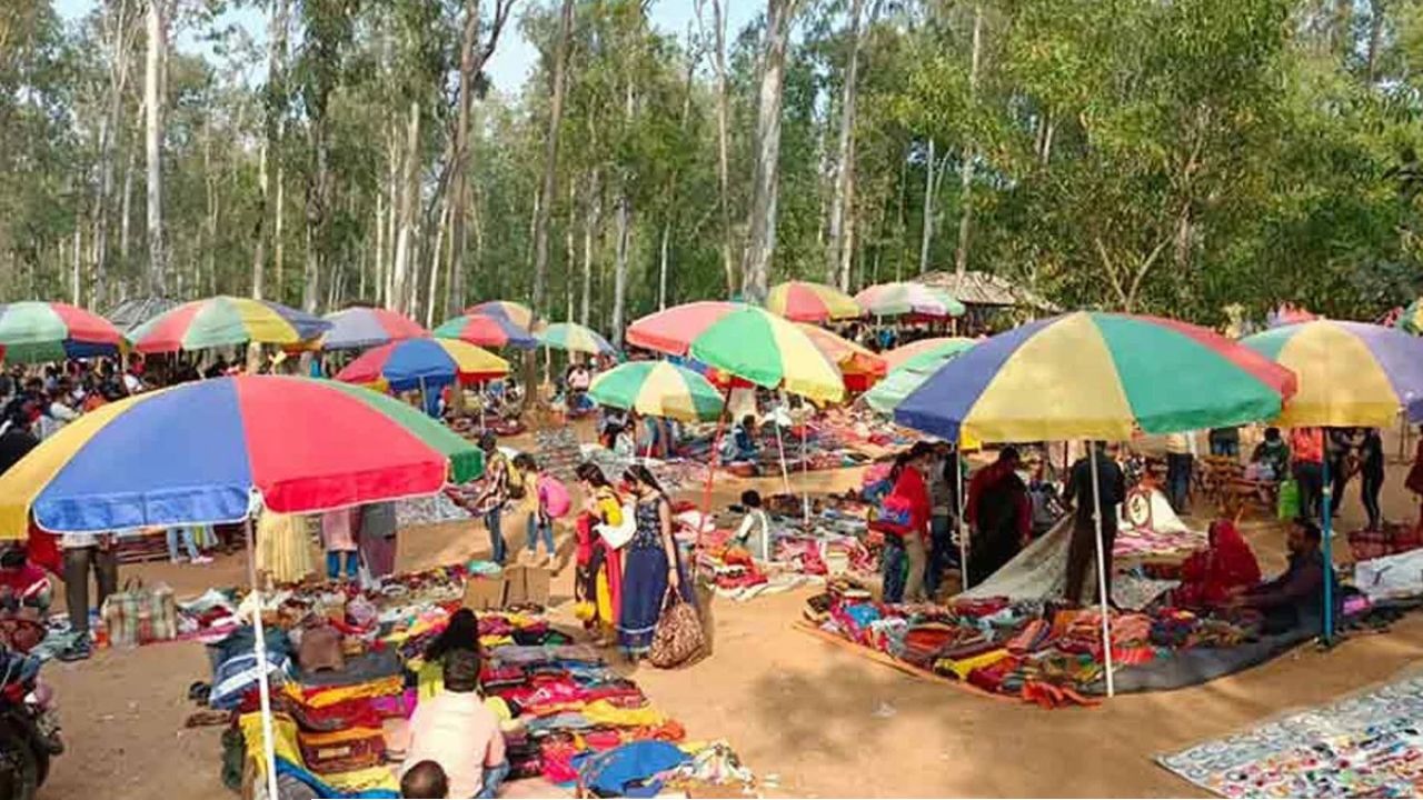 ‘হাট বন্ধ হলে পথে বসবে হাজার হাজার পরিবার’, সোনাঝুরি বাঁচাতে এনজিটিতে আবেদন হস্তশিল্পীদের 