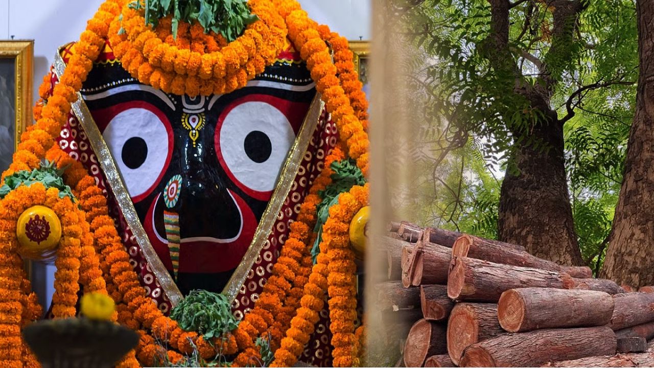 পাথর-ধাতু বাদ দিয়ে কেন নিমকাঠের জগন্নাথ? বিশ্বকর্মার সেই শর্তের আসল রহস্য কী?