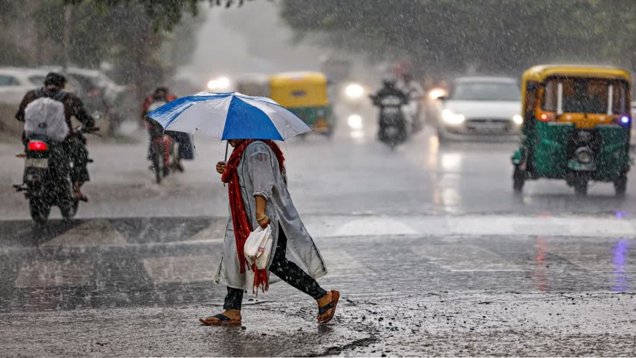  রোদ-বৃষ্টির লুকোচুরি জারি, সপ্তাহান্তে স্বস্তি! তবে বুধবার থেকে ফের ভারী বৃষ্টির সতর্কতা