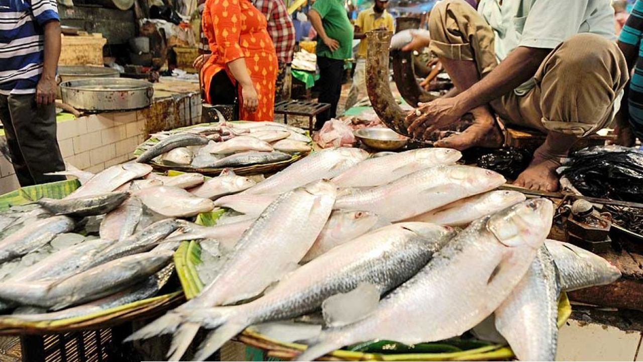ভরা মরশুমে শেষমেশ কাটল খরা! দিঘার সৈকতে টন টন ইলিশ, এবার কি সাধ্যের মধ্যে মিলবে বাঙালির প্রিয় মাছ?