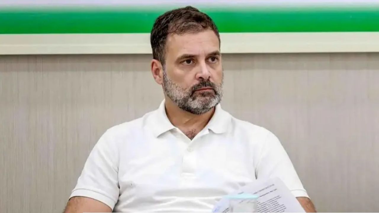 রাহুলের ৪০টি বক্তব্যের ২৯টিই ডাহা মিথ্যে, বাকি ১১টি বিভ্রান্তিকর! 'ফ্যাক্ট চেক' সামনে এনে কংগ্রেসকে তুলোধনা বিজেপির