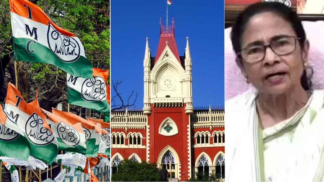 টিএমসিপির মঞ্চ নিয়েও ‘ঘরযুদ্ধ’! ২৮ আগস্ট মেয়ো রোড কার, হাই কোর্টে দুই শিবির 