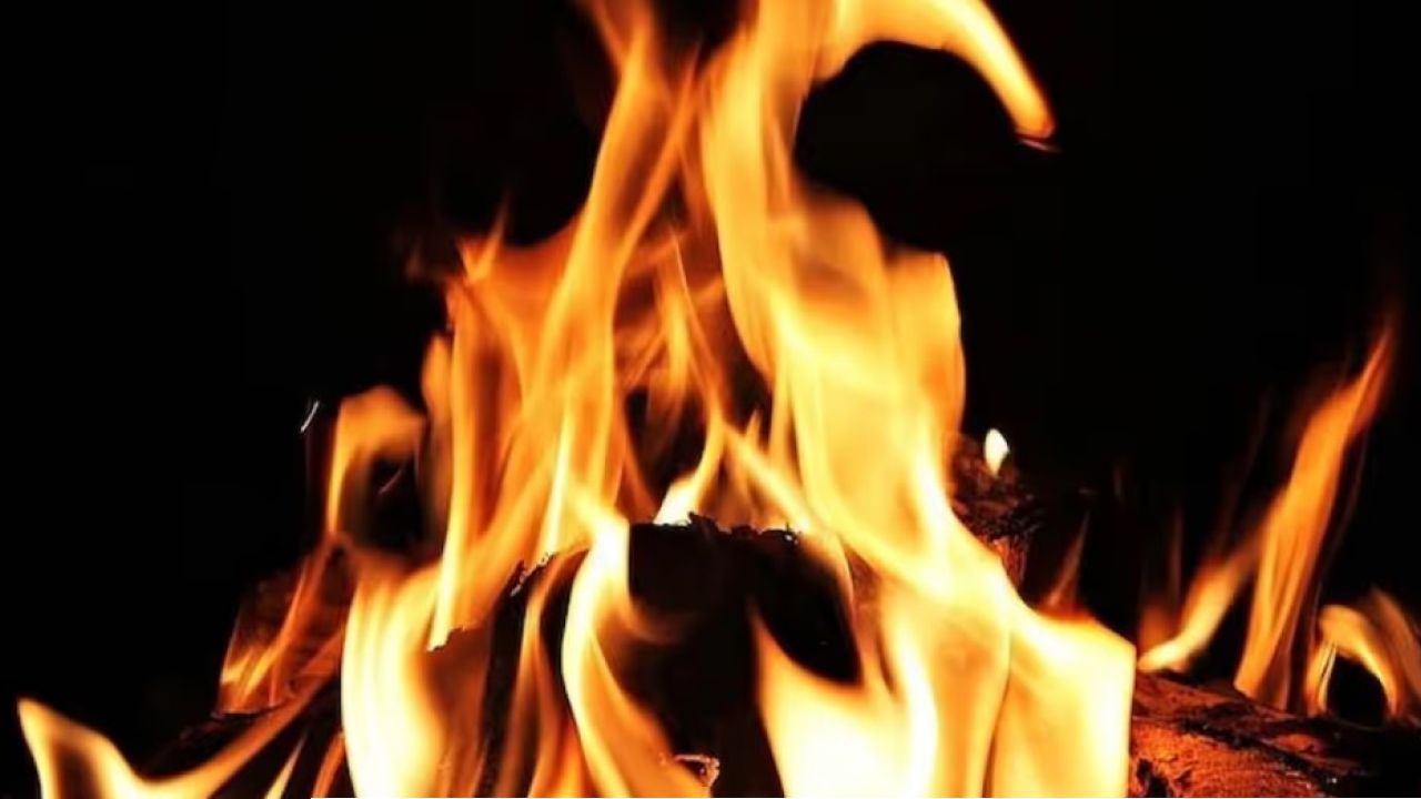 BT Road Fire: বিটি রোডের সিইএসসি ভবনে দাউদাউ আগুন, তোলপাড় এলাকা!