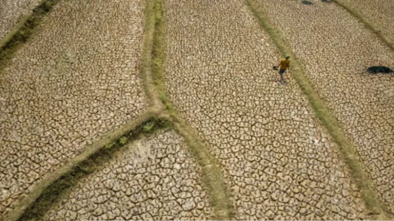 Super ElNino: ‘সুপার এল নিনো’র গ্রাসে বিশ্ব: সাড়ে ৪ লক্ষ মৃত্যুর আশঙ্কা, কেবল ভারতেই প্রাণ হারাতে পারেন প্রায় ১৬ হাজার মানুষ!