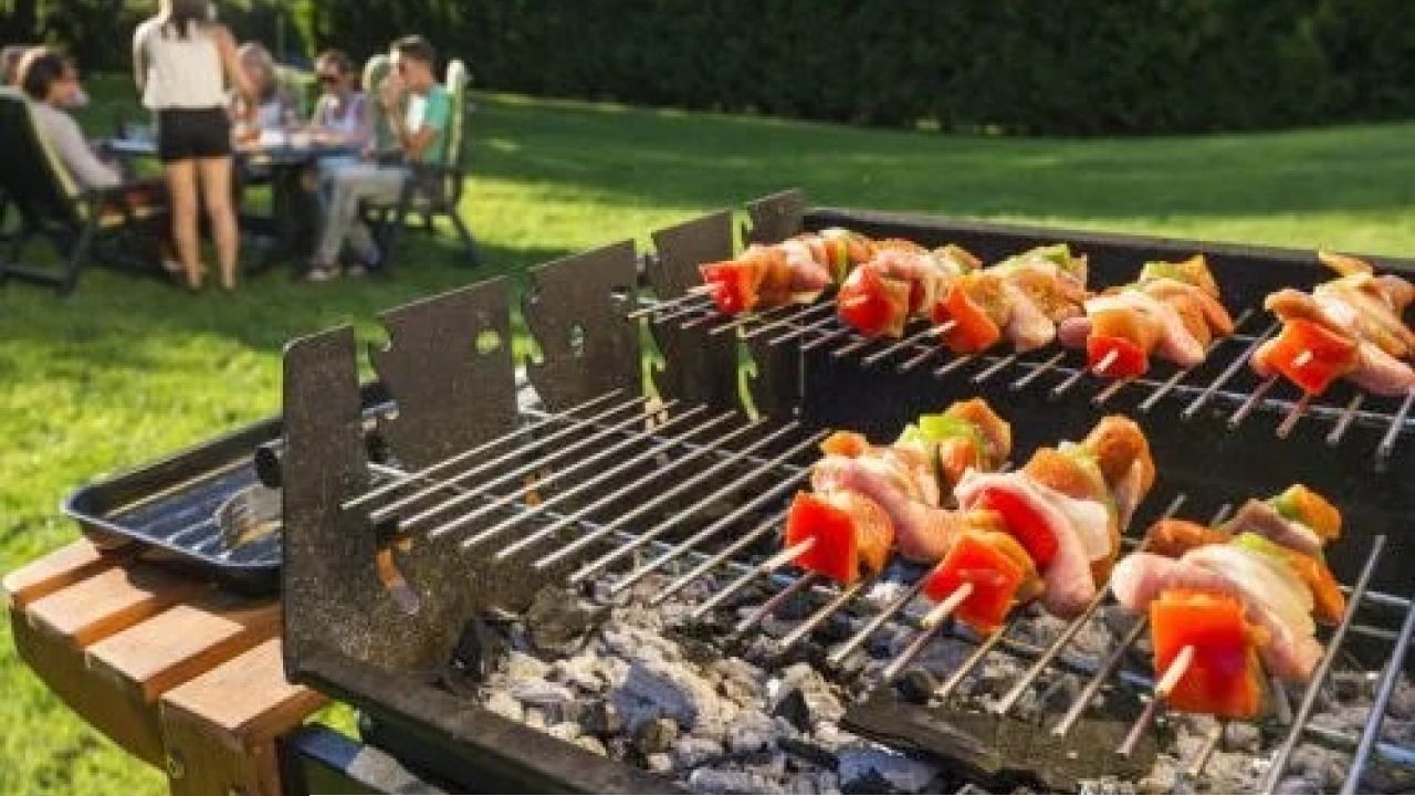 Barbeque Party: সিটংয়ে বারবিকিউয়ের আগুনে দগ্ধ নববধূ! বেড়াতে গিয়ে এমন বিপদ এড়াতে কী কী করবেন? 