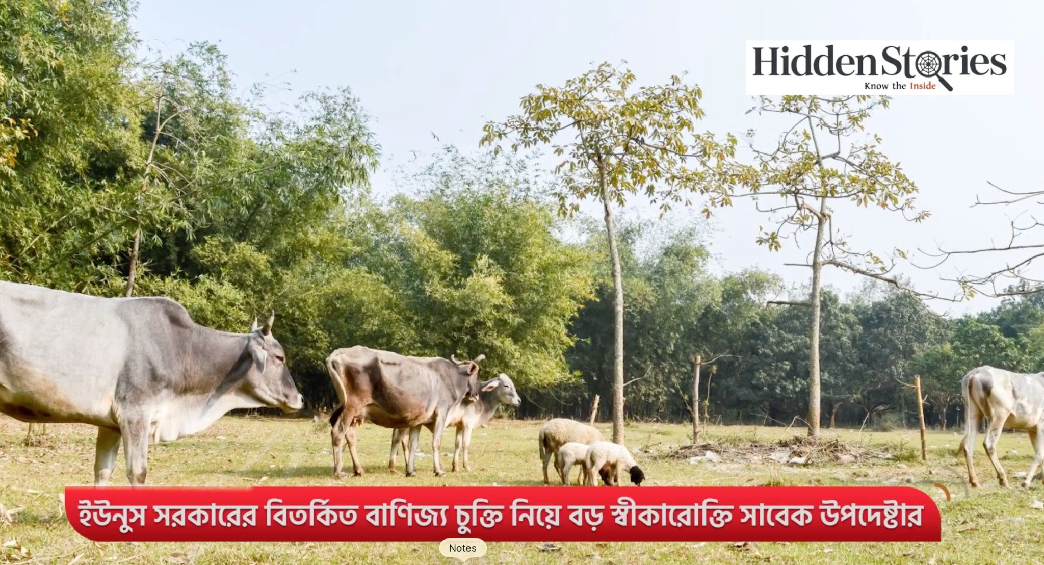 ইউনুস সরকারের বিতর্কিত বাণিজ্য চুক্তি নিয়ে বড় স্বীকারোক্তি সাবেক উপদেষ্টার