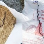 অঙ্গনওয়াড়ির পুষ্টিকর খাবারের প্যাকেটে আস্ত মরা সাপ! একরত্তি বিষ মেশানো লাড্ডু দেওয়া হলো অন্তঃসত্ত্বাকে, তারপর যা ঘটল…